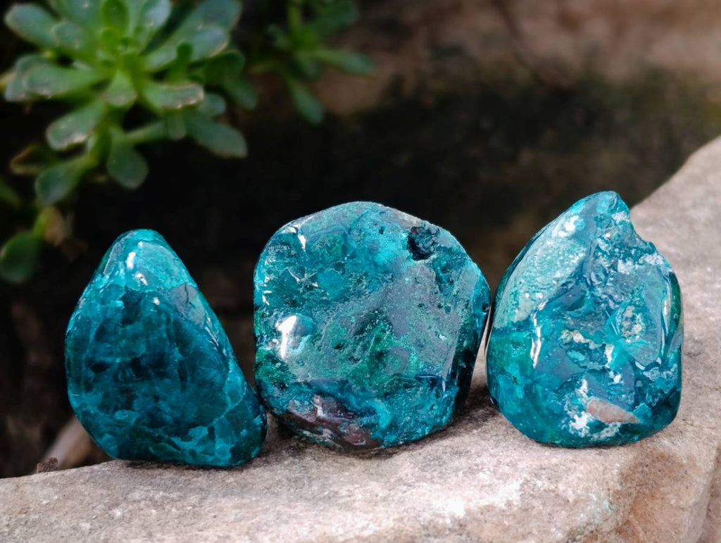 Polished Dioptase Free Forms x 41 From Likasi, Congo - Toprock Gemstones and Minerals 