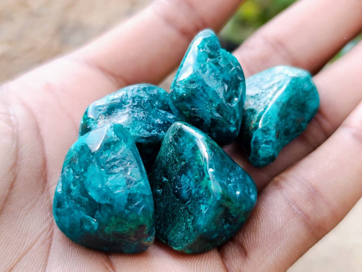Polished Dioptase Free Forms x 41 From Likasi, Congo - Toprock Gemstones and Minerals 