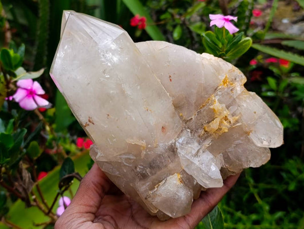 Polished Arcadian Angolan Multi Terminated Crystal x 1 From Angola