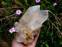 Polished Arcadian Angolan Multi Terminated Crystal x 1 From Angola