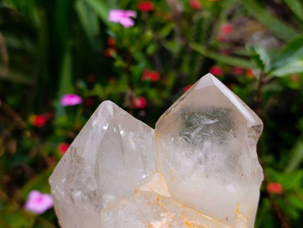 Polished Arcadian Angolan Multi Terminated Crystal x 1 From Angola - Toprock Gemstones and Minerals 