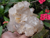 Polished Arcadian Angolan Multi Terminated Crystal x 1 From Angola