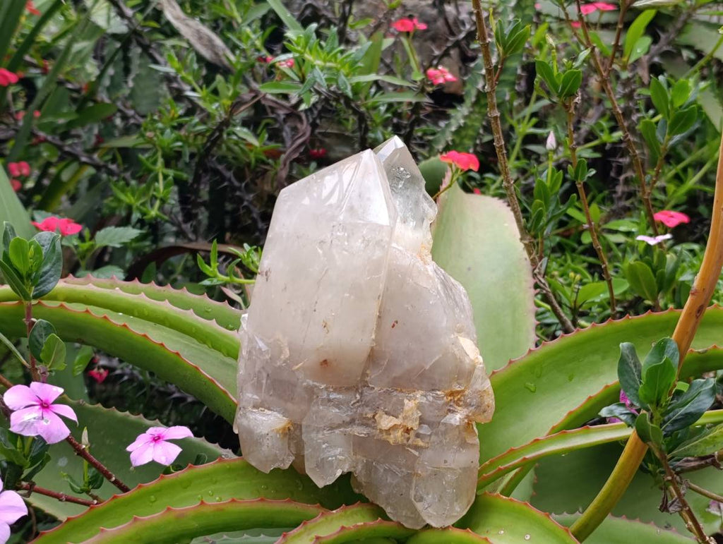 Polished Arcadian Angolan Multi Terminated Crystal x 1 From Angola - Toprock Gemstones and Minerals 