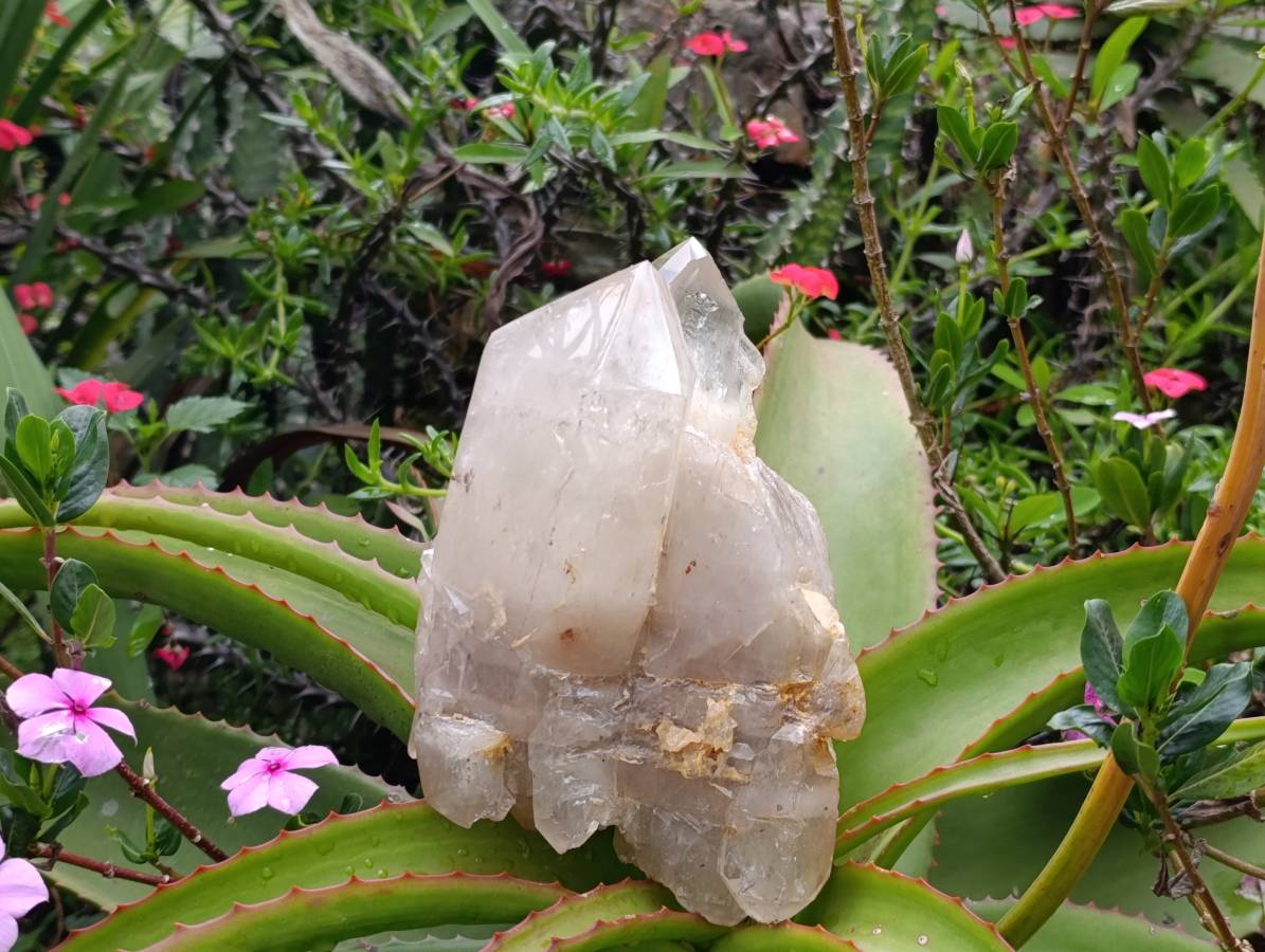 Polished Arcadian Angolan Multi Terminated Crystal x 1 From Angola - Toprock Gemstones and Minerals 