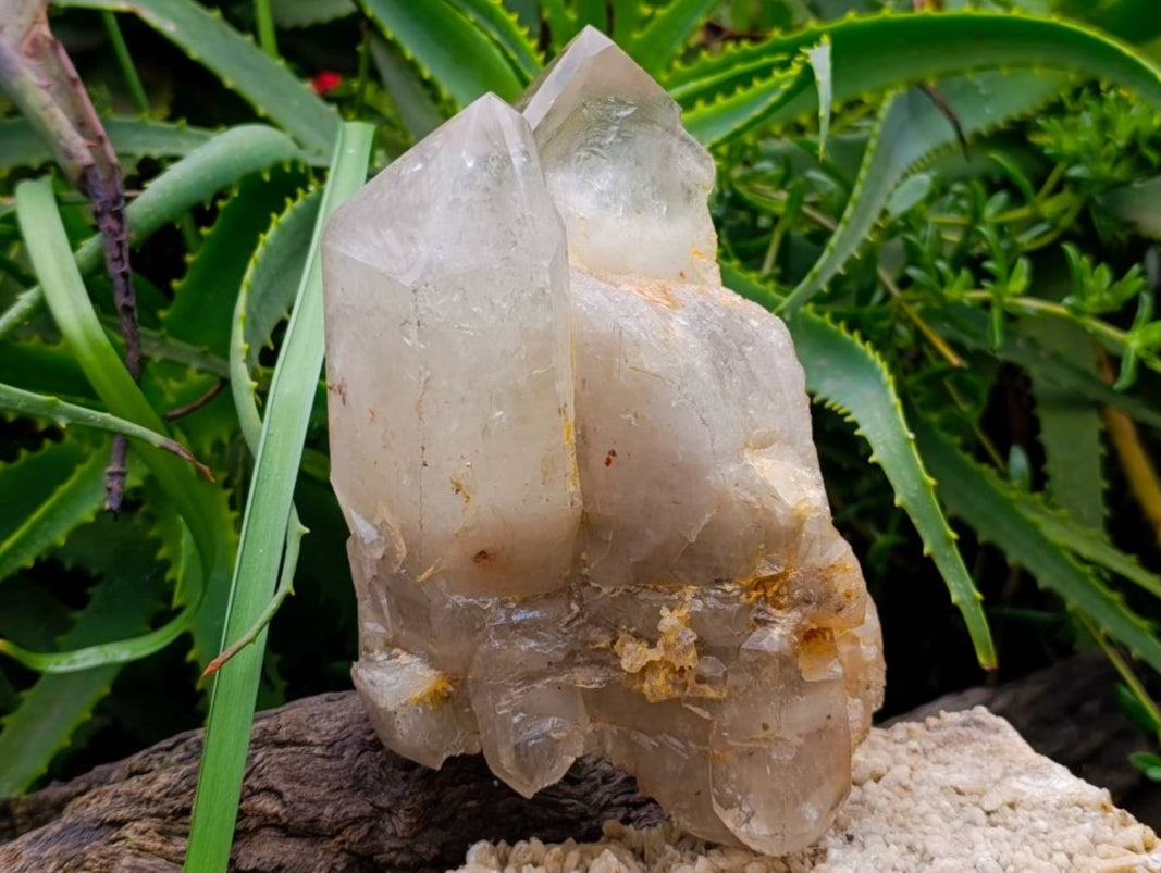 Polished Arcadian Angolan Multi Terminated Crystal x 1 From Angola - Toprock Gemstones and Minerals 