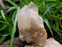 Polished Arcadian Angolan Multi Terminated Crystal x 1 From Angola