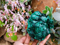 Natural Botryoidal Malachite Specimen x 2 From Congo