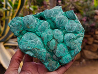Natural Botryoidal Malachite Specimen x 2 From Congo