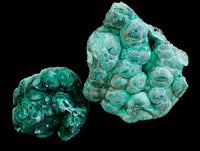 Natural Botryoidal Malachite Specimen x 2 From Congo