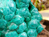 Natural Botryoidal Malachite Specimen x 2 From Congo