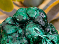 Natural Botryoidal Malachite Specimen x 2 From Congo
