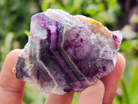 Polished On One Side Watermelon Fluorite Cobbed Pieces x 12 From Uis, Namibia