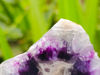 Polished On One Side Watermelon Fluorite Cobbed Pieces x 12 From Uis, Namibia