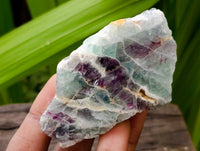 Polished On One Side Watermelon Fluorite Cobbed Pieces x 12 From Uis, Namibia