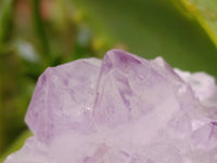 Natural Mix Of Amethyst Spirit Quartz Clusters x 12 From Boekenhouthoek, South Africa