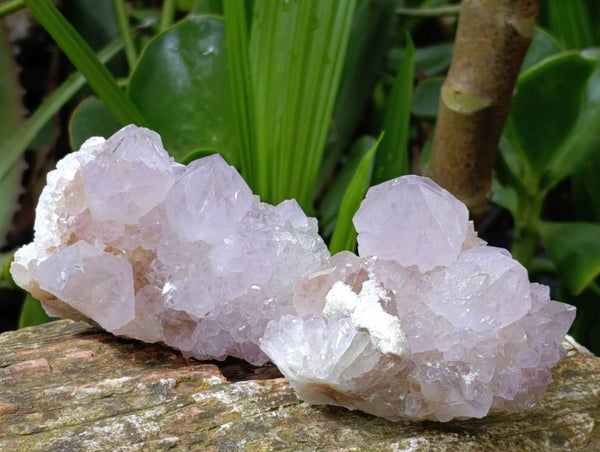 Natural Mix Of Amethyst Spirit Quartz Clusters x 12 From Boekenhouthoek, South Africa