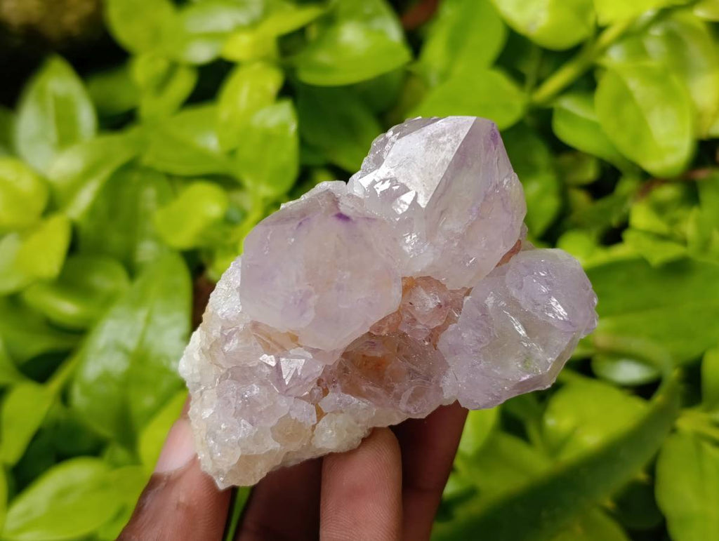Natural Mix Of Amethyst Spirit Quartz Clusters x 12 From Boekenhouthoek, South Africa - Toprock Gemstones and Minerals 