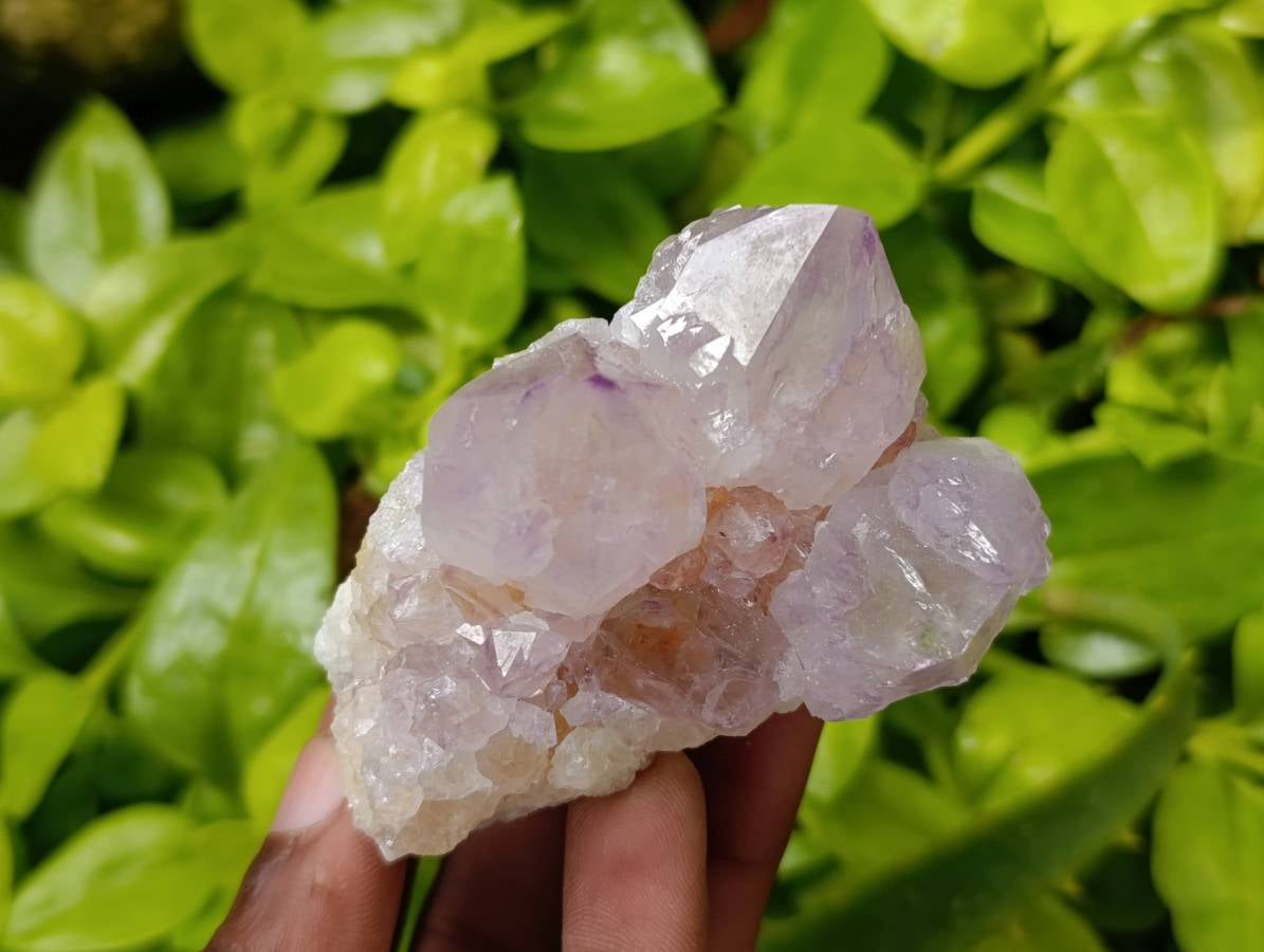 Natural Mix Of Amethyst Spirit Quartz Clusters x 12 From Boekenhouthoek, South Africa - Toprock Gemstones and Minerals 