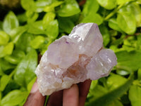 Natural Mix Of Amethyst Spirit Quartz Clusters x 12 From Boekenhouthoek, South Africa