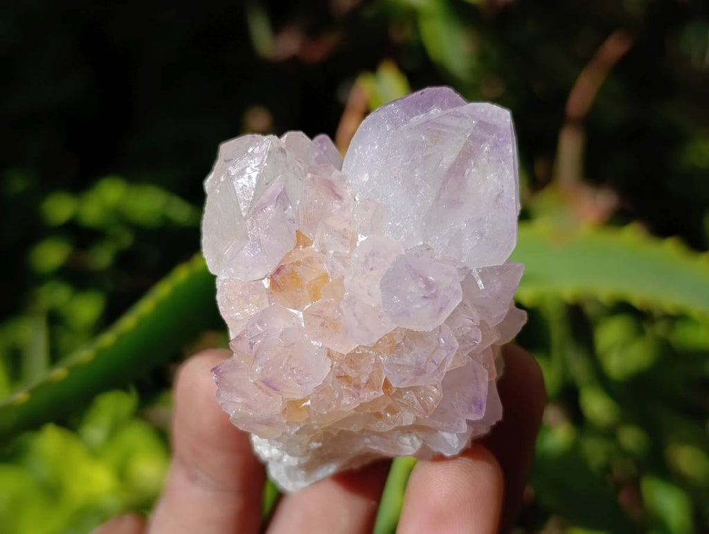 Natural Mix Of Amethyst Spirit Quartz Clusters x 12 From Boekenhouthoek, South Africa - Toprock Gemstones and Minerals 