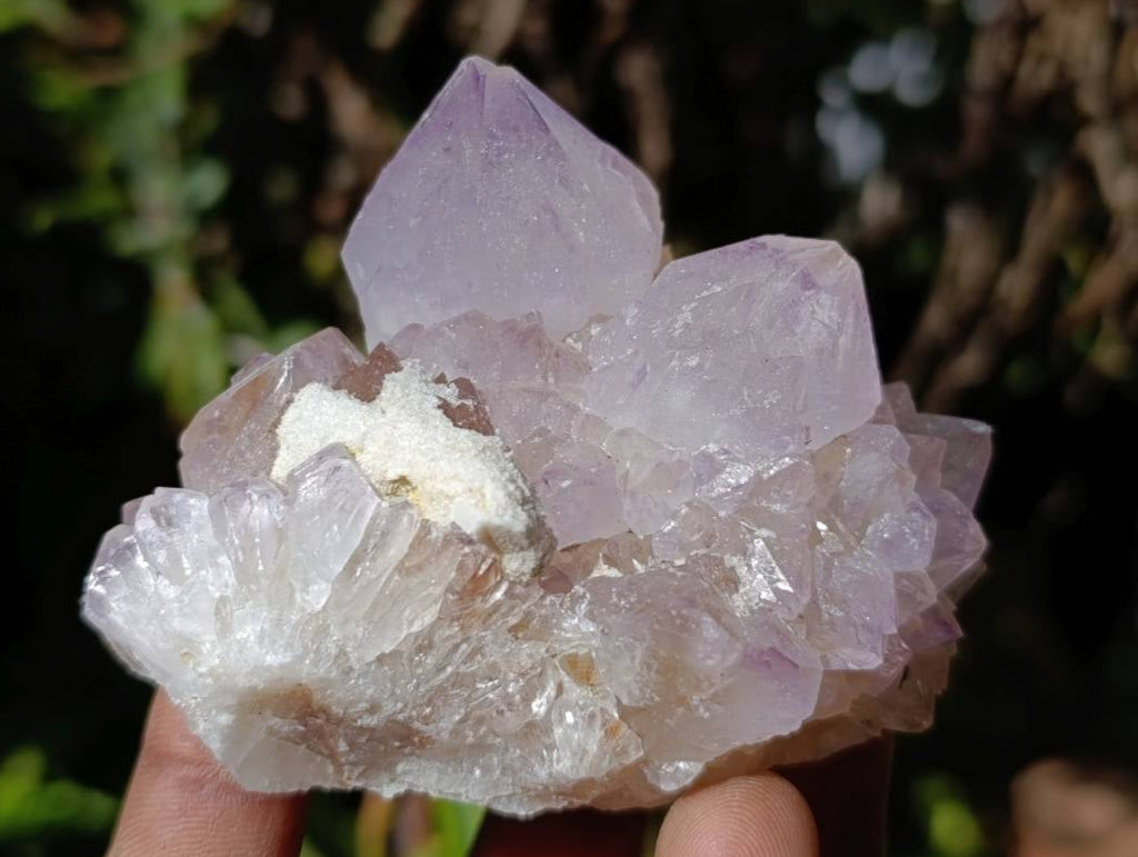 Natural Mix Of Amethyst Spirit Quartz Clusters x 12 From Boekenhouthoek, South Africa - Toprock Gemstones and Minerals 