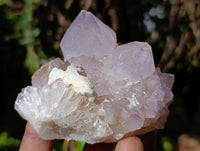 Natural Mix Of Amethyst Spirit Quartz Clusters x 12 From Boekenhouthoek, South Africa