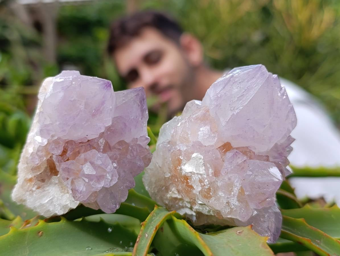 Natural Mix Of Amethyst Spirit Quartz Clusters x 12 From Boekenhouthoek, South Africa - Toprock Gemstones and Minerals 
