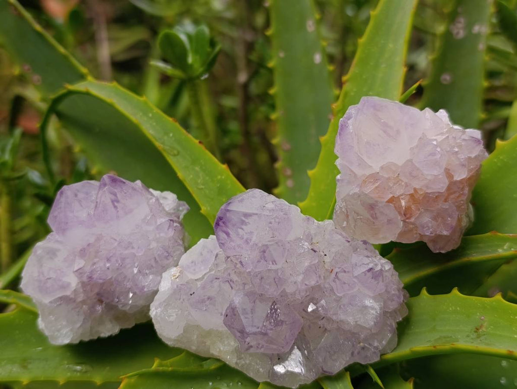 Natural Mix Of Amethyst Spirit Quartz Clusters x 12 From Boekenhouthoek, South Africa - Toprock Gemstones and Minerals 
