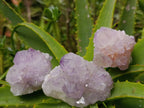 Natural Mix Of Amethyst Spirit Quartz Clusters x 12 From Boekenhouthoek, South Africa - Toprock Gemstones and Minerals 