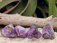 Natural Stichtite Cobbed Specimens x 35 From Barberton, South Africa