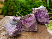 Natural Stichtite Cobbed Specimens x 35 From Barberton, South Africa
