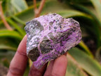 Natural Stichtite Cobbed Specimens x 35 From Barberton, South Africa - Toprock Gemstones and Minerals 