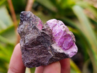 Natural Stichtite Cobbed Specimens x 35 From Barberton, South Africa