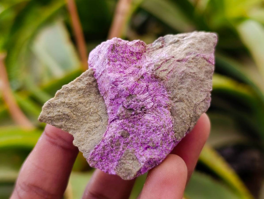 Natural Stichtite Cobbed Specimens x 35 From Barberton, South Africa - Toprock Gemstones and Minerals 
