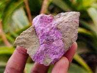 Natural Stichtite Cobbed Specimens x 35 From Barberton, South Africa