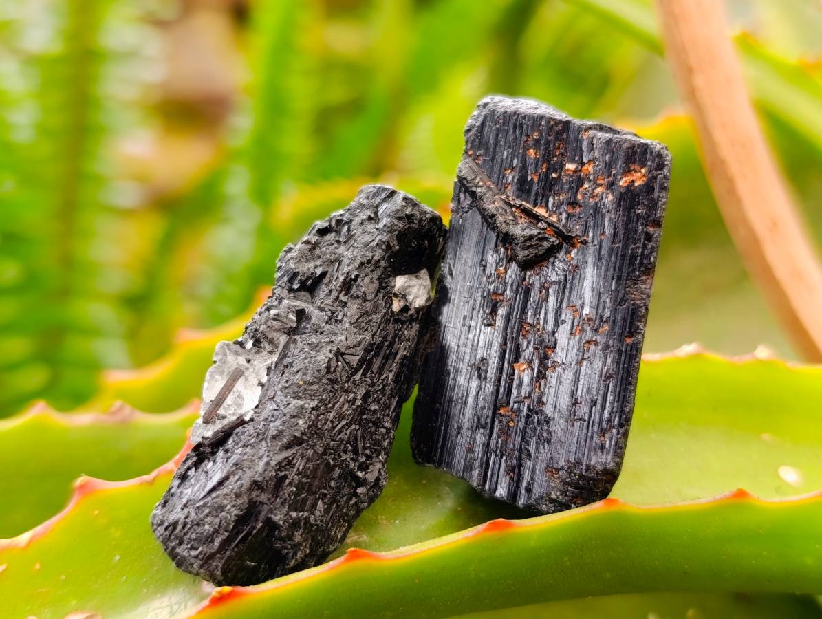 Natural Black Tourmaline Specimens x 2.68 Kg Lot From Zimbabwe - Toprock Gemstones and Minerals 