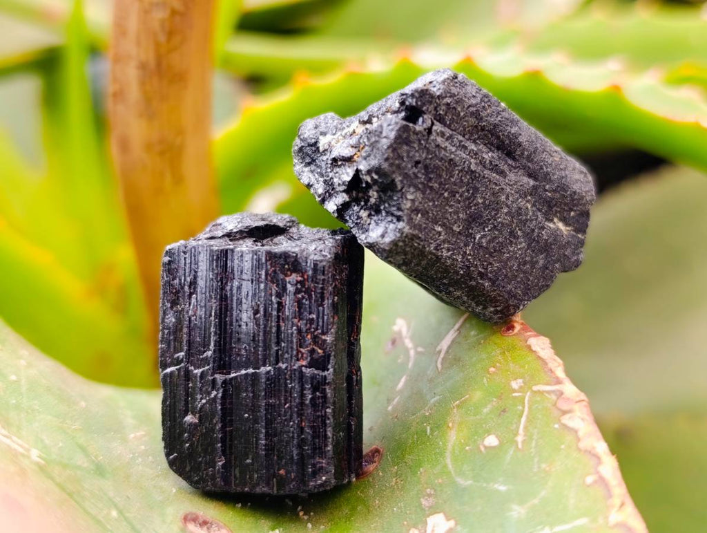Natural Black Tourmaline Specimens x 2.68 Kg Lot From Zimbabwe - Toprock Gemstones and Minerals 