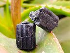 Natural Black Tourmaline Specimens x 2.68 Kg Lot From Zimbabwe - Toprock Gemstones and Minerals 