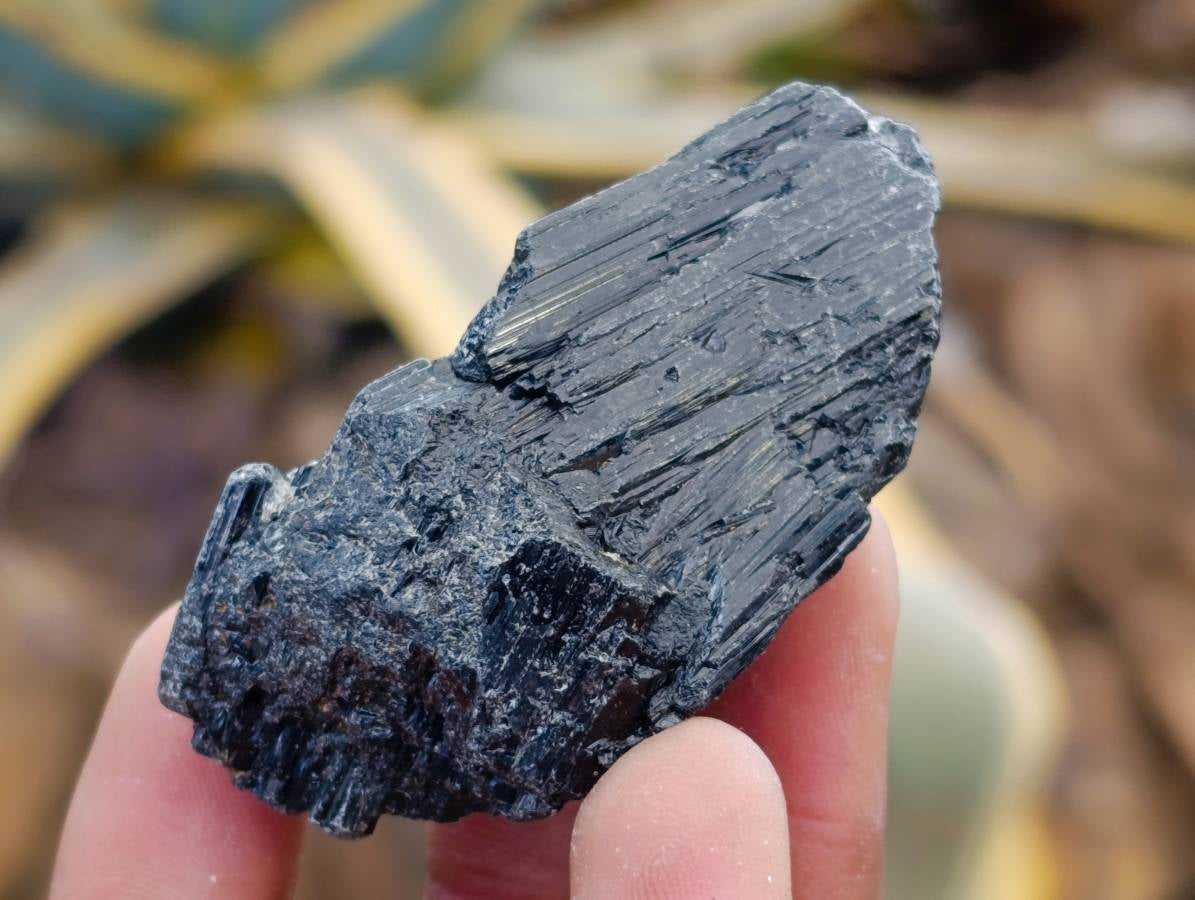 Natural Black Tourmaline Specimens x 2.68 Kg Lot From Zimbabwe - Toprock Gemstones and Minerals 