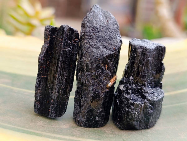 Natural Black Tourmaline Specimens x 2.68 Kg Lot From Zimbabwe