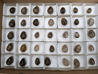 Polished Smokey Quartz Eggs x 35 From Madagascar