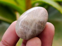 Polished Smokey Quartz Eggs x 35 From Madagascar