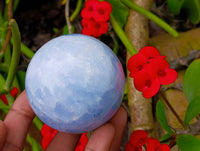 Polished Mixed Selected Multi Mineral Spheres x 6 From Madagascar