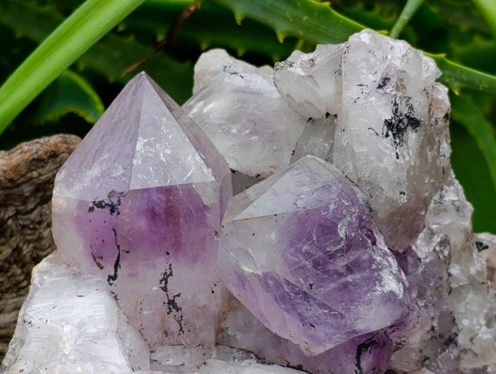 Natural Jacaranda Amethyst Quartz Crystal Clusters x 2 From Mumbwa, Zambia - Toprock Gemstones and Minerals 