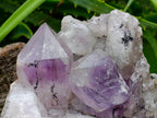 Natural Jacaranda Amethyst Quartz Crystal Clusters x 2 From Mumbwa, Zambia - Toprock Gemstones and Minerals 