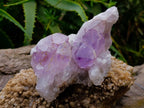Natural Jacaranda Amethyst Quartz Crystal Clusters x 2 From Mumbwa, Zambia - Toprock Gemstones and Minerals 