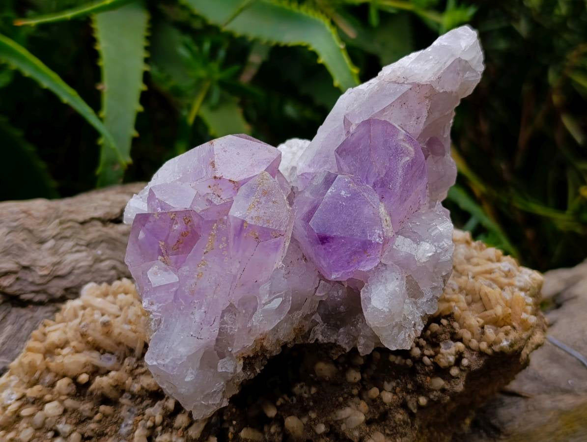 Natural Jacaranda Amethyst Quartz Crystal Clusters x 2 From Mumbwa, Zambia - Toprock Gemstones and Minerals 