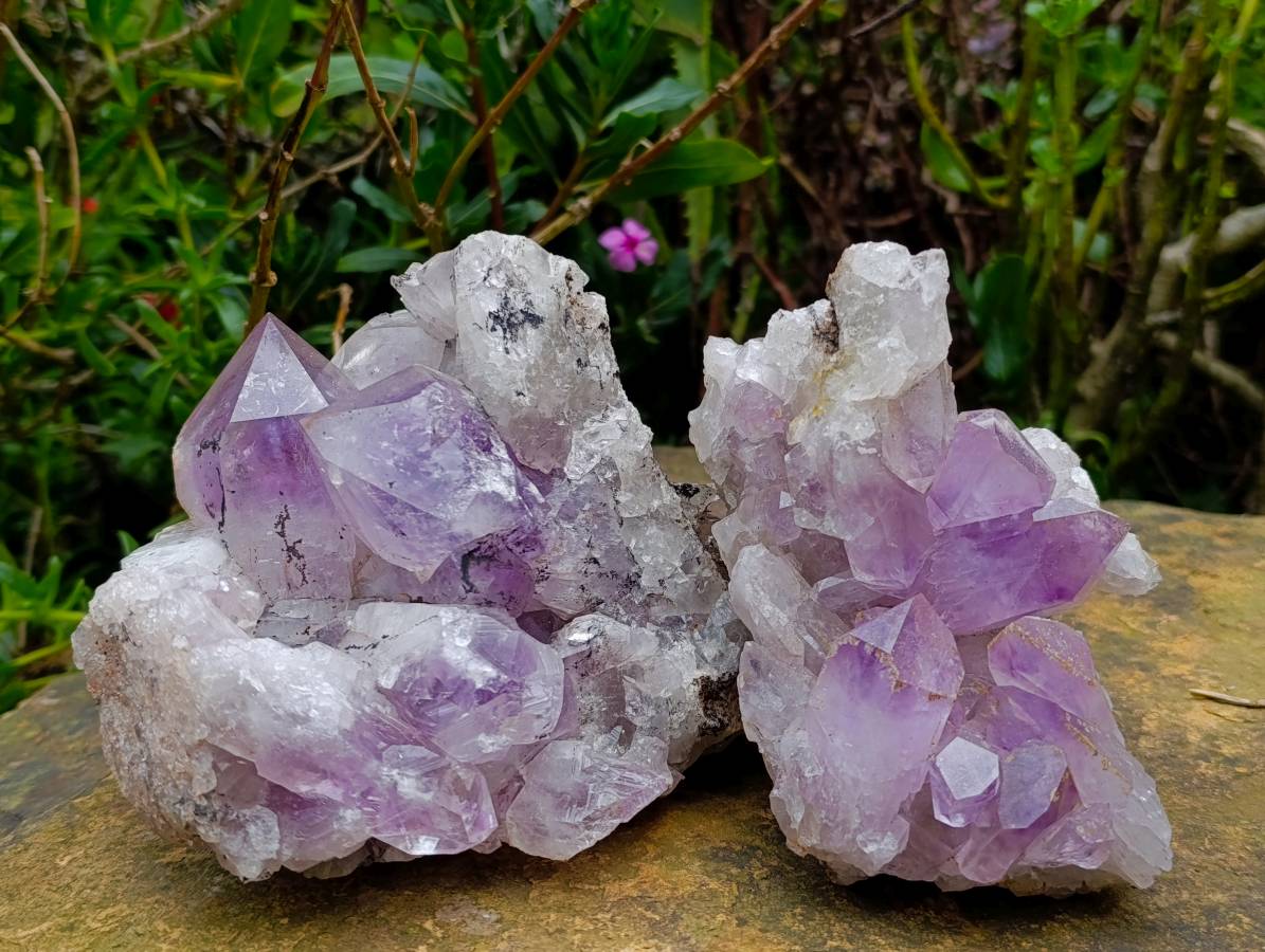 Natural Jacaranda Amethyst Quartz Crystal Clusters x 2 From Mumbwa, Zambia - Toprock Gemstones and Minerals 