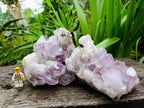 Natural Jacaranda Amethyst Quartz Crystal Clusters x 2 From Mumbwa, Zambia - Toprock Gemstones and Minerals 