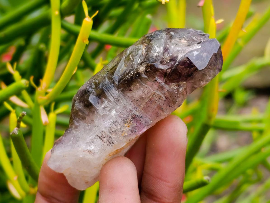 Natural Window Amethyst Crystals x 12 From Chiredzi, Zimbabwe - Toprock Gemstones and Minerals 